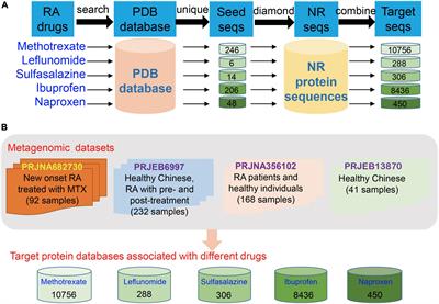 The Potential of Gut Microbiota Metabolic Capability to Detect Drug Response in Rheumatoid Arthritis Patients